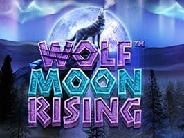 Wolf Moon Rising game cover