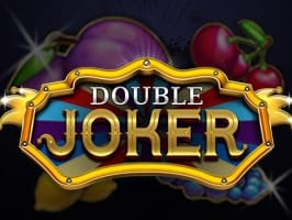 Double Joker game cover